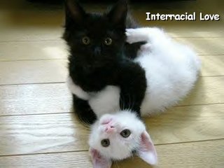 Funny Interracial Love Graphic - click for code!